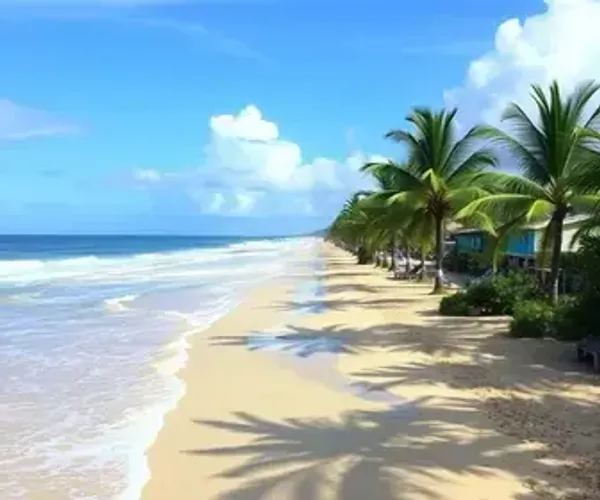 Melhor época para visitar Porto de Galinhas com menos chuva: clima e dicas