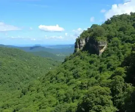 Parques naturais em Serra da Canastra para visitar