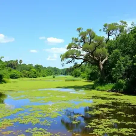 Parques naturais em Pantanal para visitar