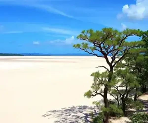 Parques naturais nos Lençóis Maranhenses para visitar