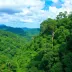 Parques naturais em Amazônia para visitar