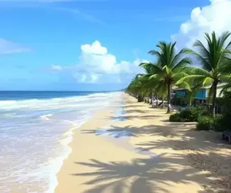 Melhor época para visitar Porto de Galinhas com menos chuva: clima e dicas