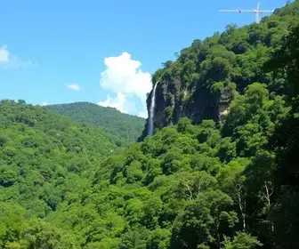 Parques naturais no Parque Nacional da Tijuca para visitar