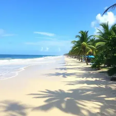 Guia turístico de Porto de Galinhas para primeira viagem
