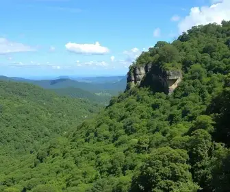 Parques naturais em Serra da Canastra para visitar