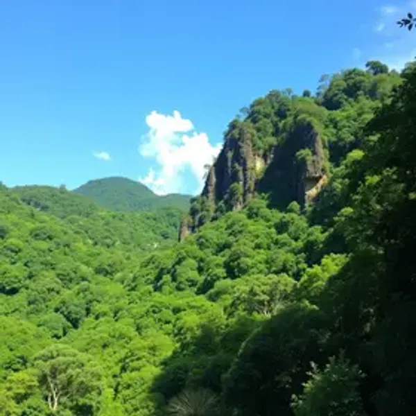 Parques naturais em Ubatuba para visitar