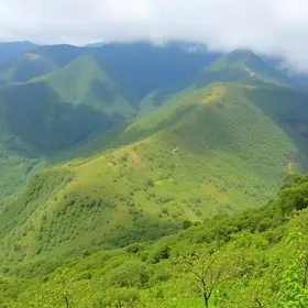 Roteiro de ecoturismo no Parque Nacional do Itatiaia em 3 dias