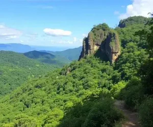 Melhores trilhas em Petrópolis para iniciantes: lista para planejar