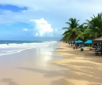 Melhor época para curtir as praias de Porto de Galinhas com menos chuva