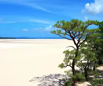 Parques naturais nos Lençóis Maranhenses para visitar