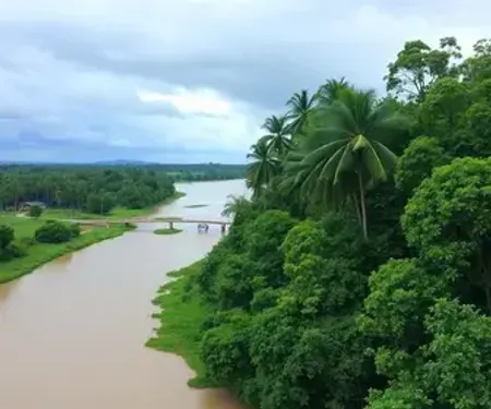 Melhor época para visitar Manaus com menos chuva: clima e dicas